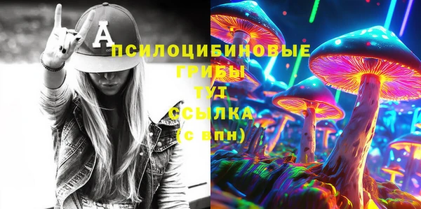 прущая мука Саяногорск
