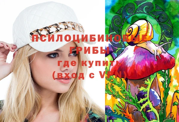 бутират Белокуриха