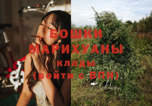 бутират Белокуриха