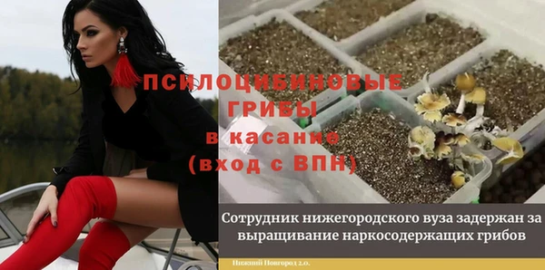 бутират Белокуриха