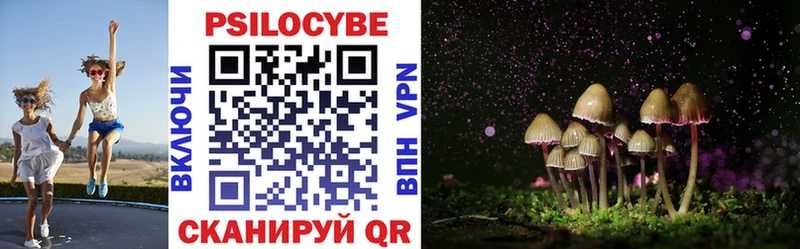 Псилоцибиновые грибы Cubensis Киржач